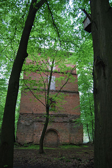 Palowice w obiektywie, fot. Tadeusz Stawowczyk