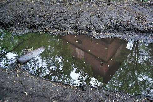 Palowice w obiektywie, fot. Tadeusz Stawowczyk