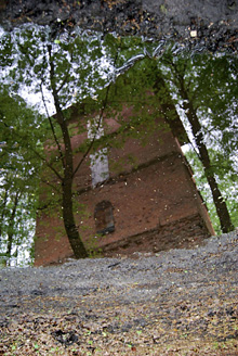 Palowice w obiektywie, fot. Tadeusz Stawowczyk