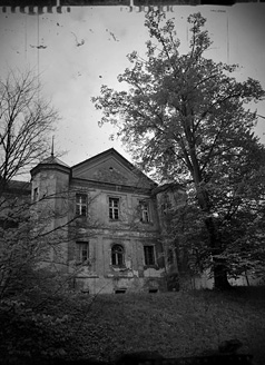 Palowice w obiektywie, fot. Tadeusz Stawowczyk