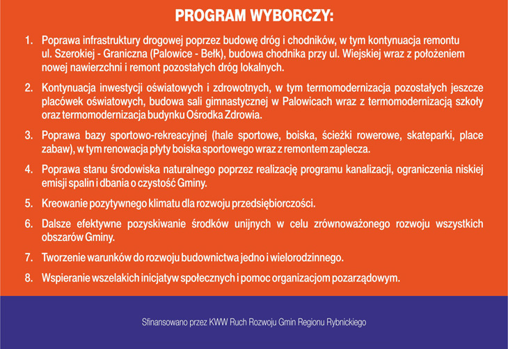 Bernard Strzoda - Program wyborczy