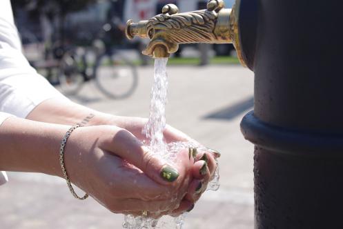 Upały - Palowice.NET 2013