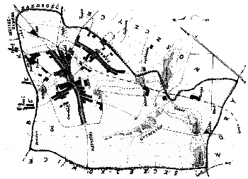 Mapa Palowic - Korona, rys. mgr Sylwester Musiolik