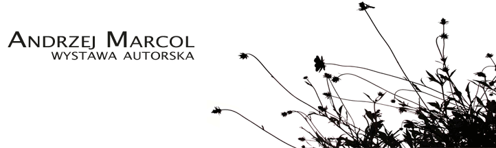 Andrzej Marcol - wystawa autorska